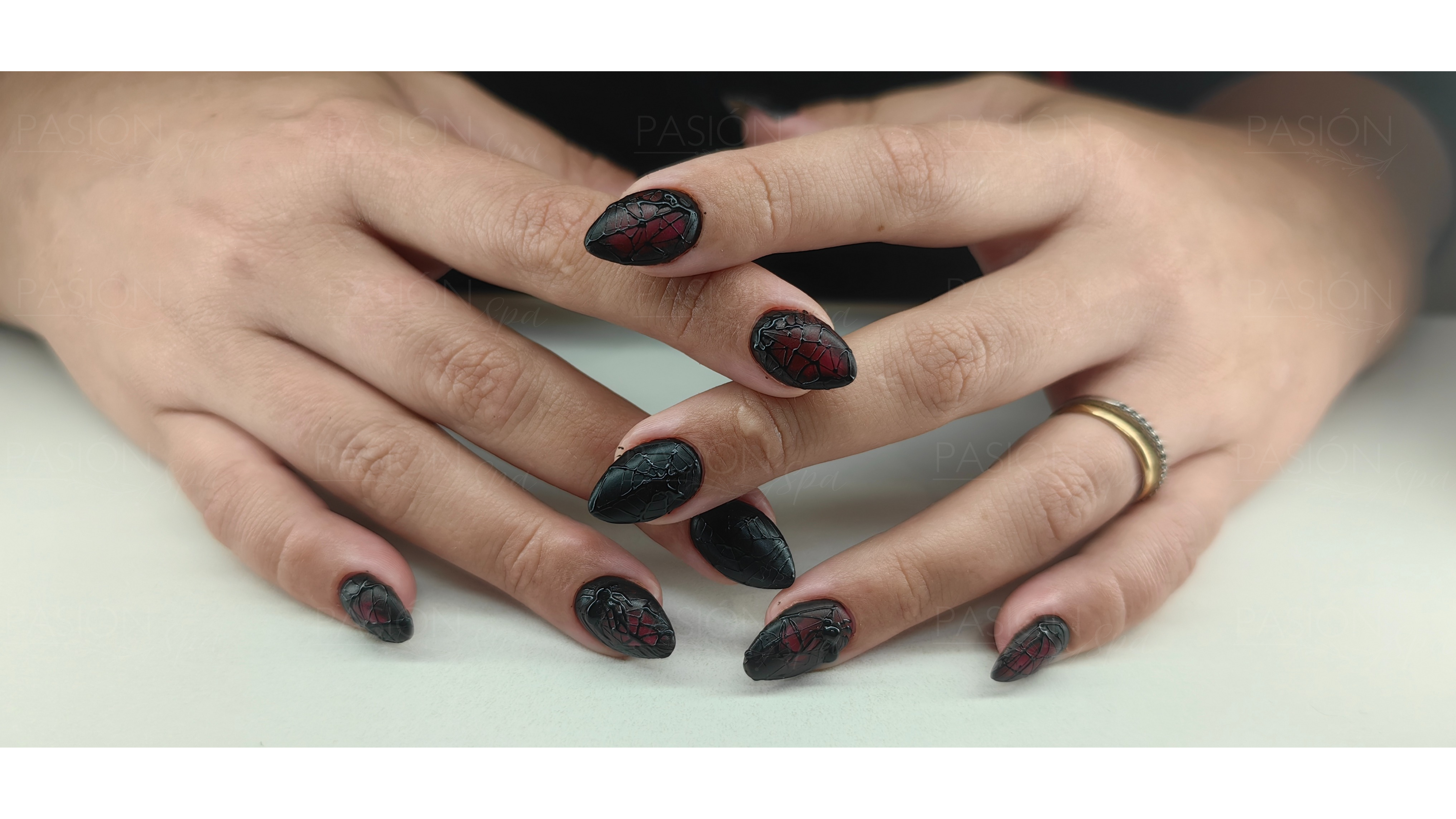 red and black spider